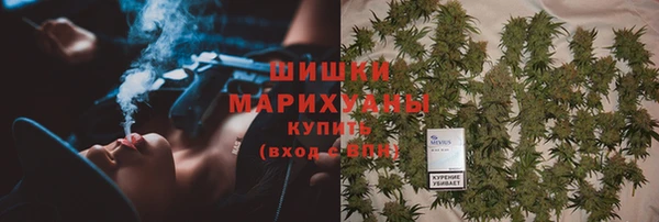 apvp Алзамай