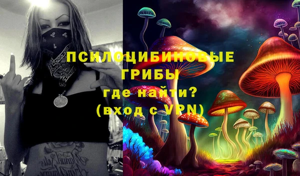 ешки Алексин