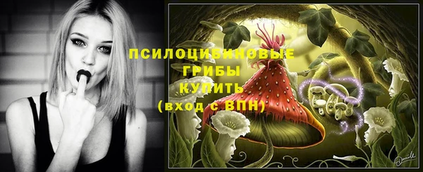 apvp Алзамай